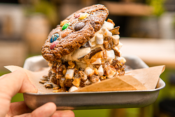 The Hickory's ice cream cookie sandwich