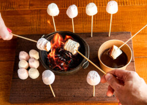 Cash For Kids Campfire Marshmallows